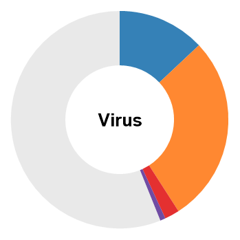 Virus Circular Chart